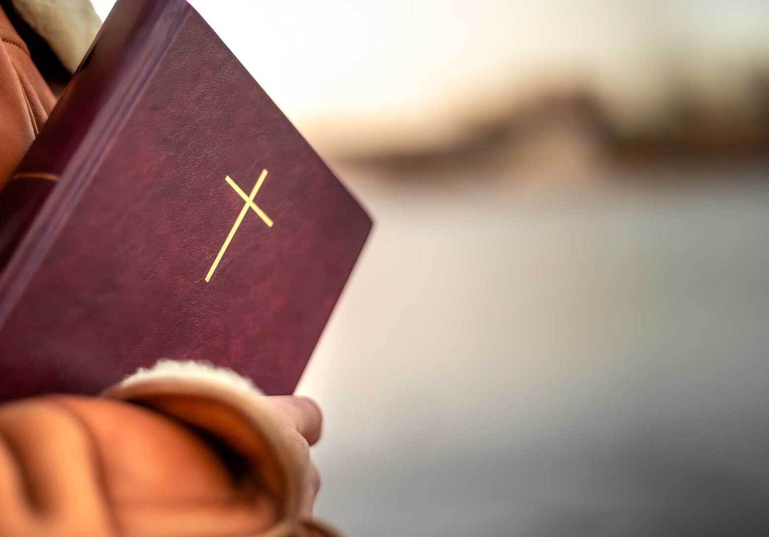 Kijk-Omhoog_Header_WEB